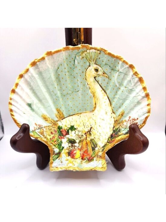 Other - SCALLOPED FAN SHELL 